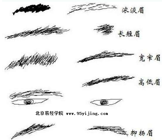 古代面相秘诀,眉毛面相论命刘恒注解(上篇)