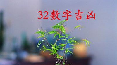 数字32的含义,数理32宝马金鞍 